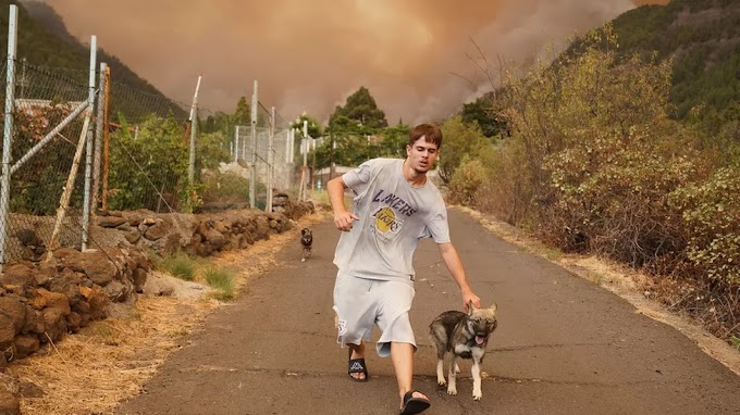 Incêndio florestal em Tenerife leva à evacuação de 5 aldeias