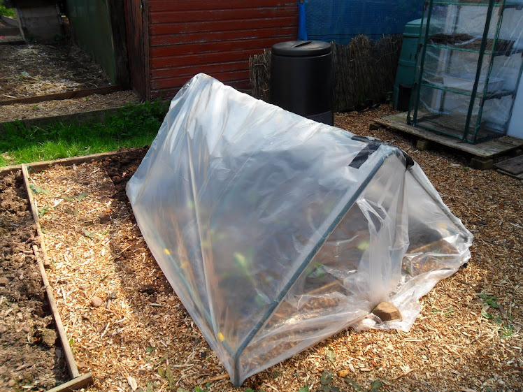tent