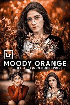 500+ Lightroom & 500+ Mobile Lightroom Presets Free Download