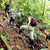 Jungle Tracking sembari melihat flora dan fauna
