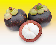 Mewarnai Gambar Buah Manggis