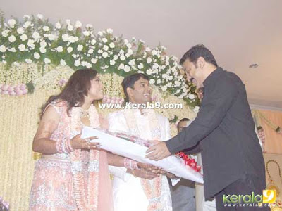 Meena Wedding Marriage Reception Photos