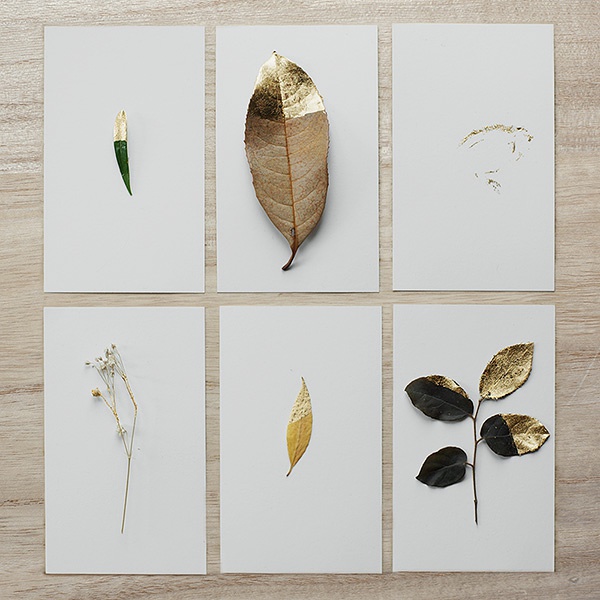 i like the idea _ gilded leaves