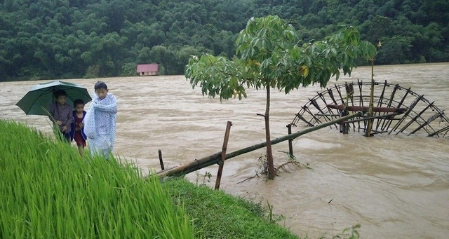 Mặc dù mưa to, gió lớn, lũ lên cao nhưng các em học sinh ở Quế Phong vô tư dạo bên suối nước chảy xiết rất nguy hiểm.