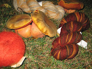 Aade wol Estland, gebreidesjaals vindt oranje paddestoel, herfsttinten, . (oranje bruinestola herfstkleuren paddestoel oranjepaddestoel gebreidesjaals natuur )