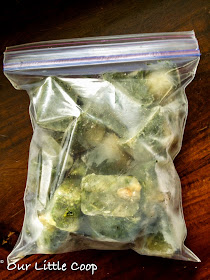 frozen basil in ziplock bag