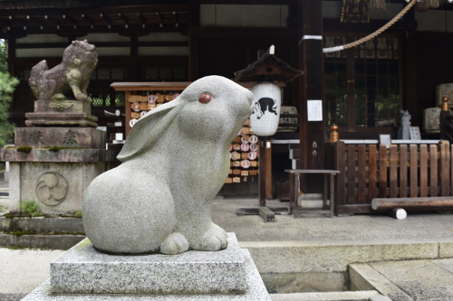 京都　岡崎神社　狛うさぎ