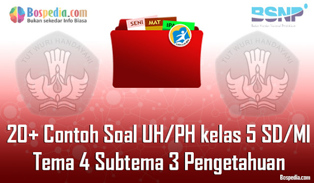 20+ Contoh Soal UH / PH untuk kelas 5 SD/MI Tema 4 Subtema 3 Pengetahuan