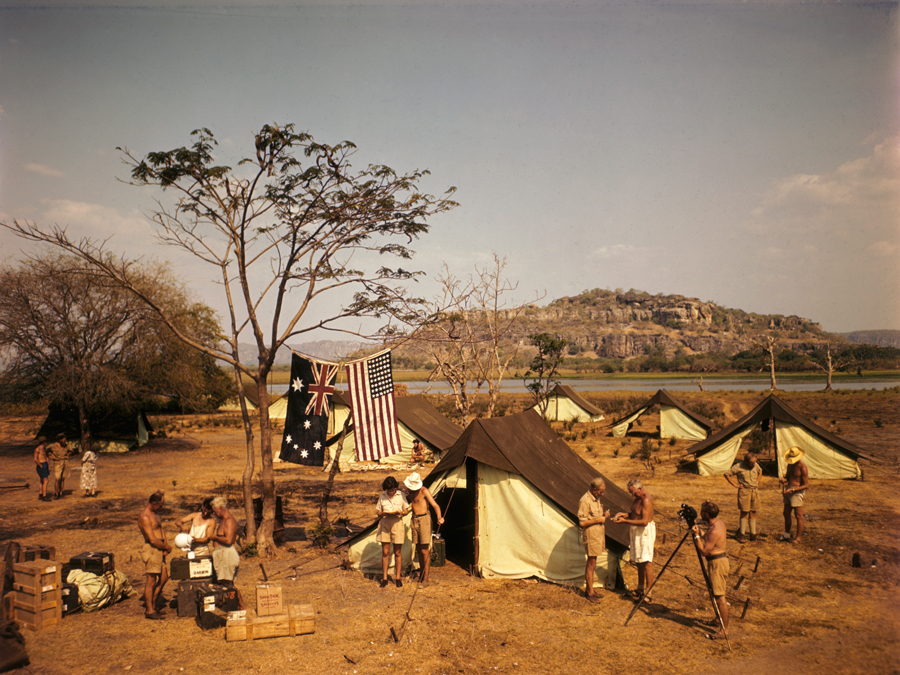 SCENE | Found by National Geographic