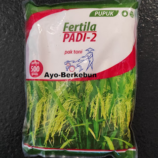 pupuk fertila padi 2