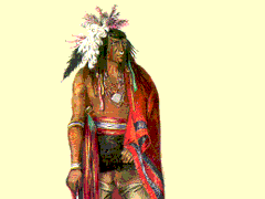 During the colonial wars of the first half of the eighteenth century, the Iroquois and their allies...