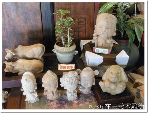 DSCN5476