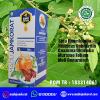 obat asam urat alami