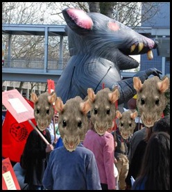 rat meeting