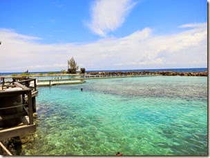 IMG_0991 IMG_0991