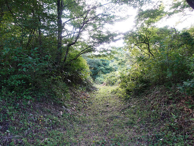 中国自然歩道案内板のすぐ近くの大山古道入り口