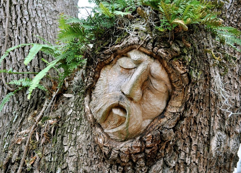 st-simons-island-tree-spirits-3 st-simons-island-tree-spirits-3