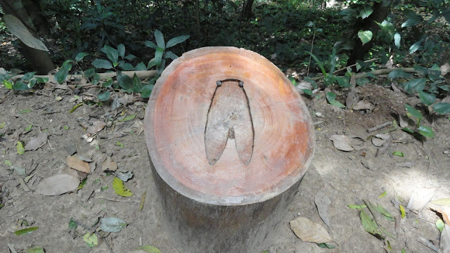 Zizi Santos