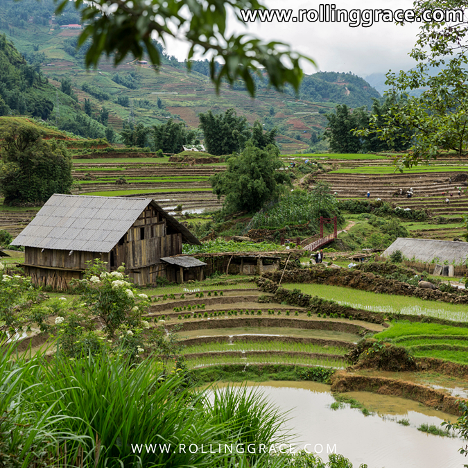 cat cat village trekking