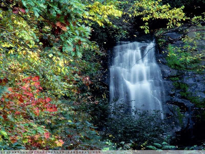 Natural View Water Fall Photos | Resolution 800x600