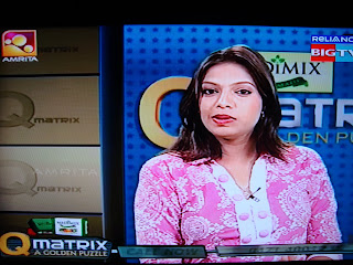 q matrix anchor