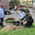 JUSTICIA / Conmemoramos el día internacional del árbol en el área metropolitana de Pereira