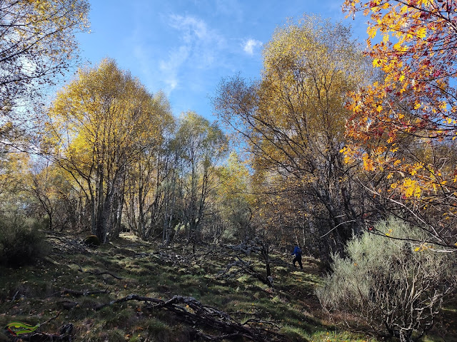 Subida al Cueto Nidio (Valle de Laciana)