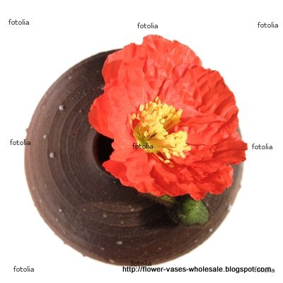 Flower vases wholesale:vases-21284