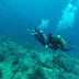 Daily Diving Tour with Scuba Komodo