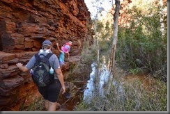 Dales Gorge