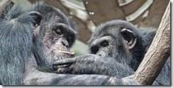 Poland Zoo
