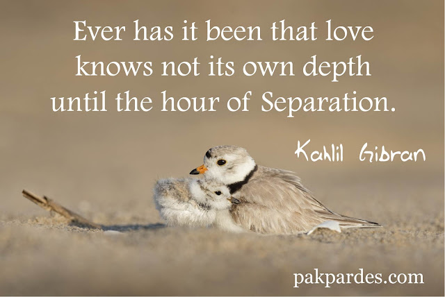 Ever has it been that love knows not its own depth until the hour of  separation. - Kahlil Gibran,love,love quotes,quotes,best love quotes,romantic quotes,love quotes for him,love quotes and sayings,movie love quotes,famous quotes,what is love,sweet quotes,inspirational quotes,love messages,love (quotation subject),love quotes for him from her,love quotes for her,beautiful love quotes with images,love quotes for husband,quotes about love,beautiful love quotes,inspirational love quotes
