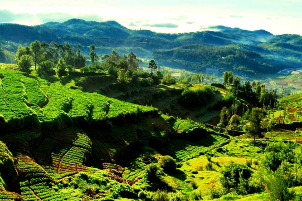 Ketti Valley