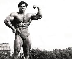 best mr olympia winners