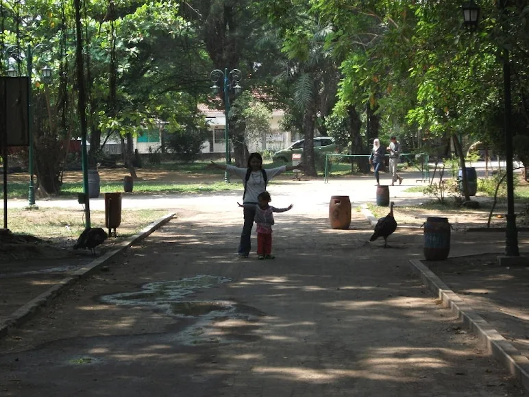 Turkeys walk free in the Taman Balekambang