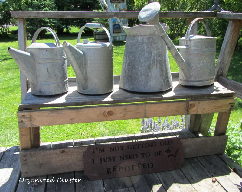 Rustic Bench with Vintage Watering Cans www.organizedclutterqueen.blogspot.com