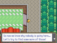 Pokemon Exodus Screenshot 05