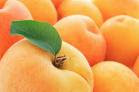 Apricots:The Key Anti-Aging Weapon