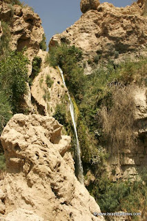 Israel Travel Guide, Ein Gedi, Pictures