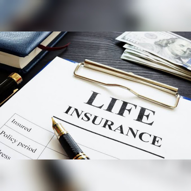 What Is Life Insurance /  Life Insurance /  Insurance