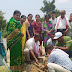 বিশ্ব পৰিৱেশ দিৱস উপলক্ষে নিম এণ্ড নেচাৰ ফাউণ্ডেচন গোলাঘাটৰ দ্বাৰা গোলাঘাটৰ ৰঙাজান ডিমাপুৰ পথত নিম পুলি ৰোপন কাৰ্যসূচী 
