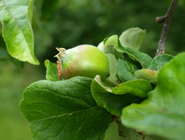 P7024900