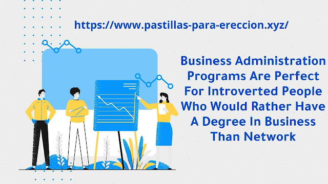 Business Administration Programs Are Perfect For Introverted People Who Would Rather Have A Degree In Business Than Network