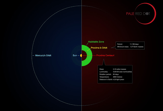 So sánh tương quan giữa quỹ đạo của Proxima b trong hệ Proxima Centauri và Sao Thủy trong hệ Mặt Trời. Khi hành tinh nằm trong vùng có khả năng tồn tại sự sống, nó sẽ có thể tồn tại nước lỏng. Credit: ESO/M. Kornmesser/G. Coleman.