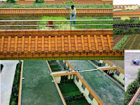 The Concept Of Agriculture On Top Of The House To Develop Better Farming