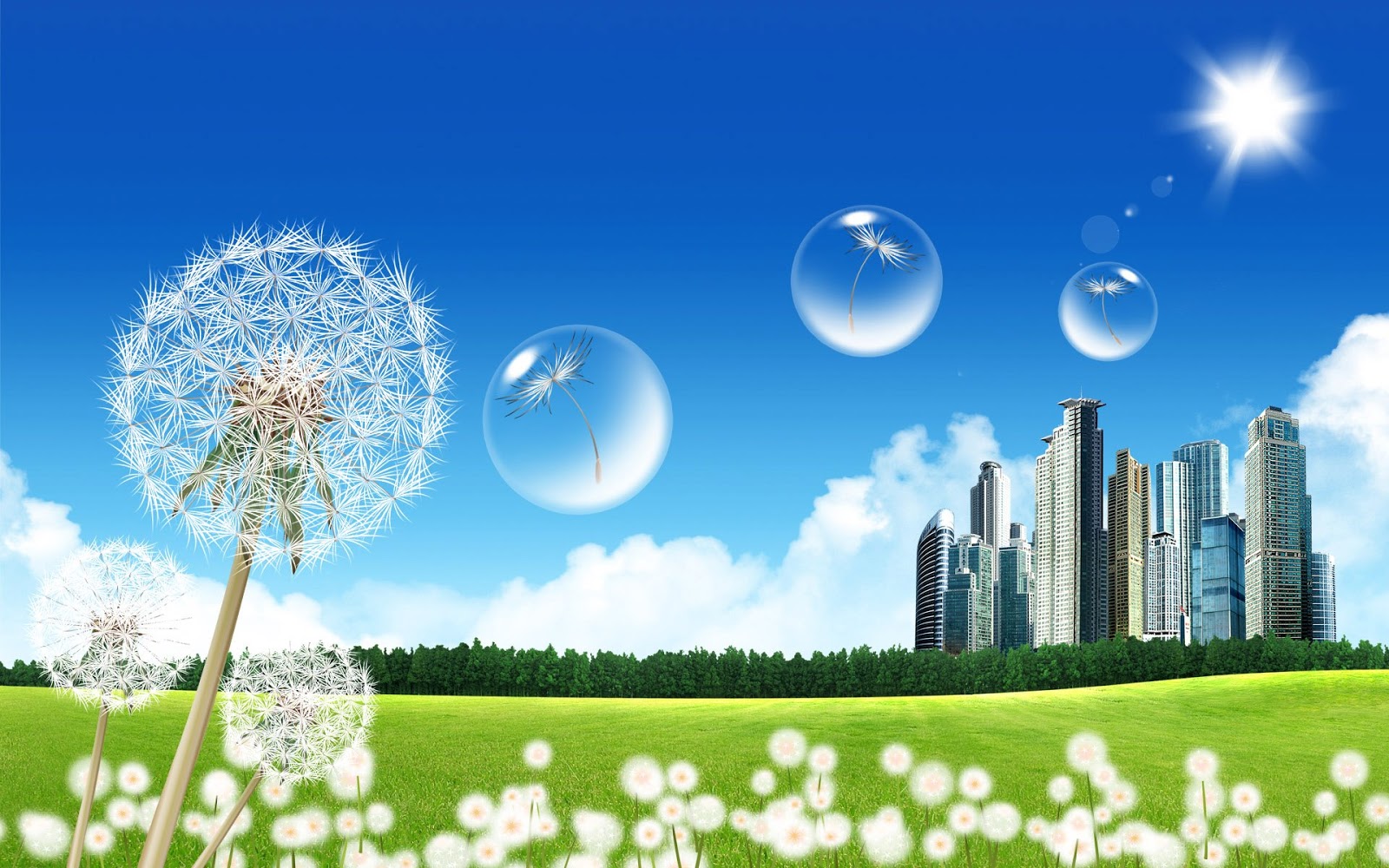Latest HD Wallpapers 2013