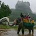 Elephant rides in sigiriya , sri lanka