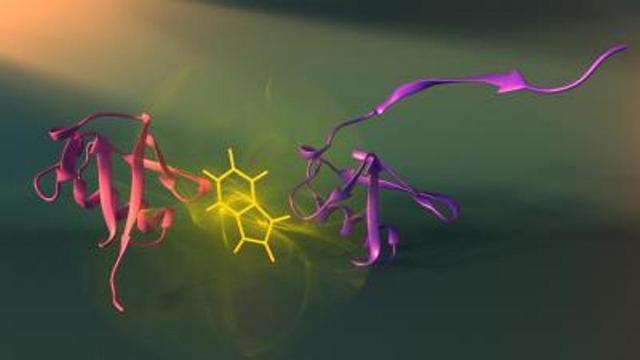  Para ilmuwan dari University of Montreal telah membuatkan pendekatan gres untuk memvis Pintar Pelajaran Visualisasi Proses Penyusunan Protein