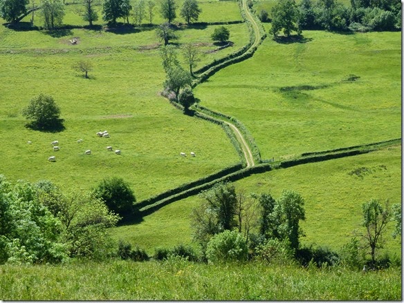 P1260911