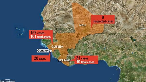 Médicos Sem Fronteiras já considera o surto de Ebola na África como "uma epidemia sem precedentes"
